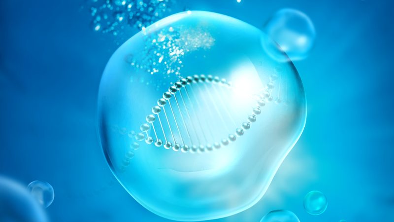 高纯度分子生物学试剂：揭秘其背后的技术奥秘**