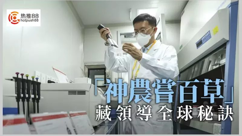 生物检测服务标准规范：最新版解读与行业影响