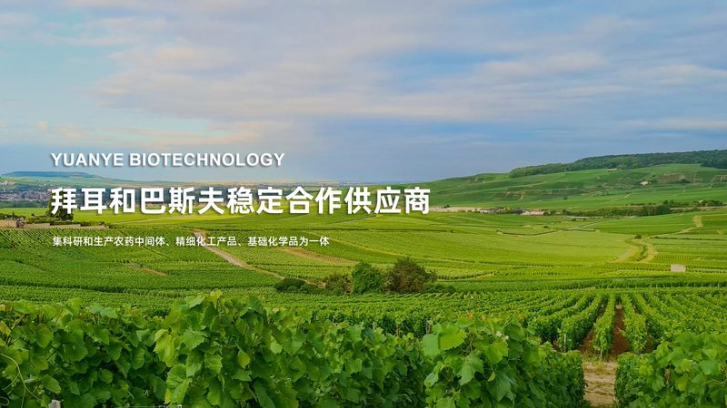 生物制品冷链运输：如何确保品质与合规性**