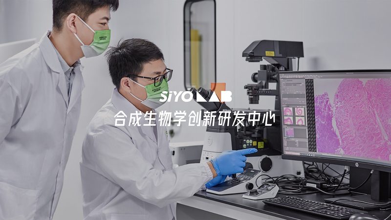 揭秘细胞培养：北京细胞培养公司排名背后的考量因素