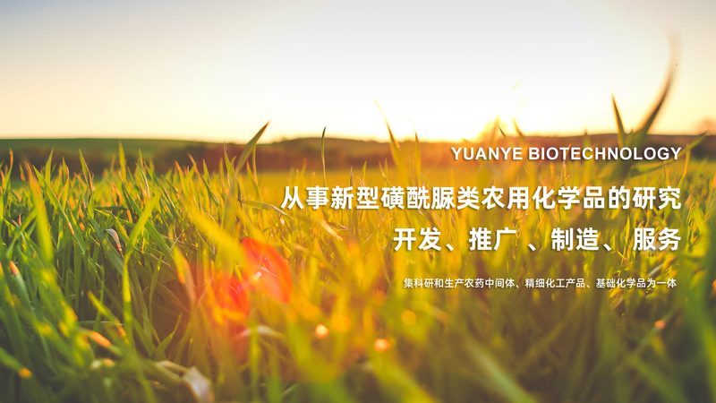 细胞工厂纯化工艺：如何评估风险，确保高效安全**