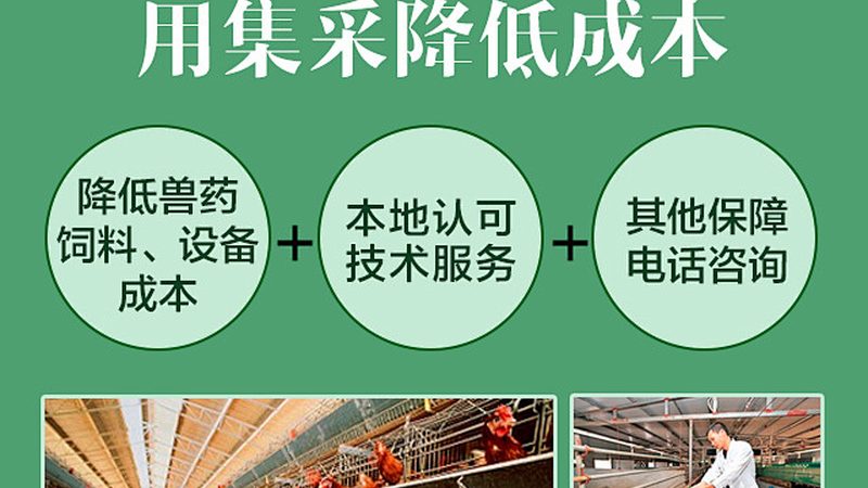 生物科技饲料原料：如何构建采购标准？**